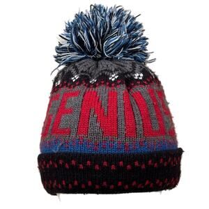 Gray Genius Beanie